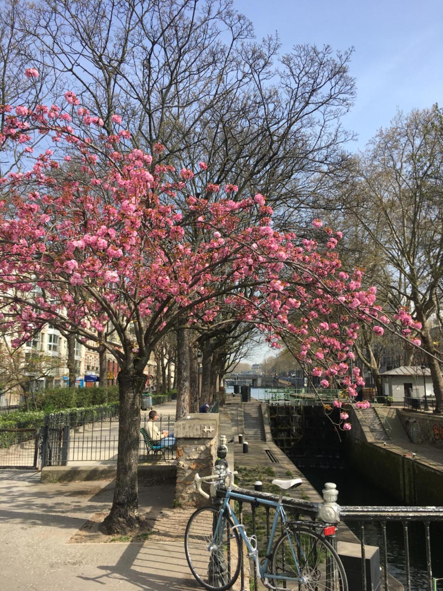 A Paris, Au Bord De L'Eau Apartment ภายนอก รูปภาพ